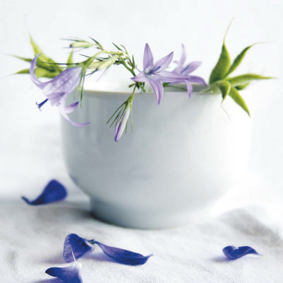 Bellflowers Print Bellflowers Print