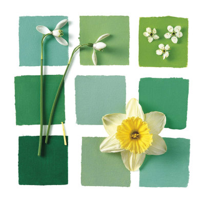 Green Squares Print Green Squares Print