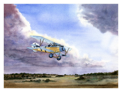 "Abatros" Giclee Print "Abatros" Giclee Print