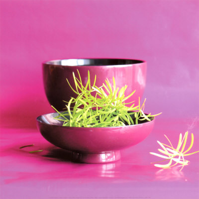 Zen Table Print Zen Table Print