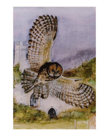 Tawny Owl Giclee Print Tawny Owl Giclee Print