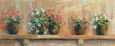 Petunias in Pots Print Petunias in Pots Print
