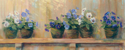 Violets in Pots Print Violets in Pots Print