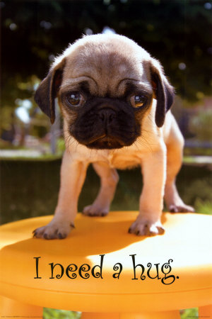 huh i need a hug huh i need a hug