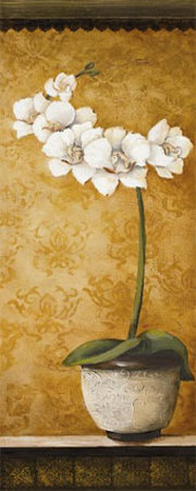 Hanna's Orchids II Print Hanna's Orchids II Print