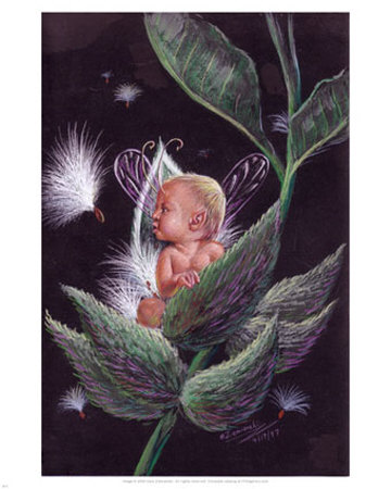 Milkweed Imp Print Milkweed Imp Print