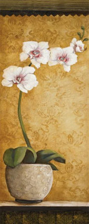 Hanna's Orchids I Print Hanna's Orchids I Print