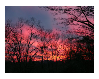 Painted Sky Photographic Print Painted Sky Photographic Print