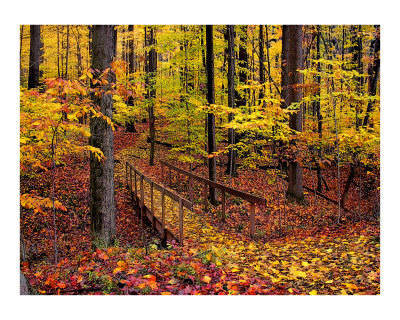 Autumn Footbridge Photographic Print Autumn Footbridge Photographic Print