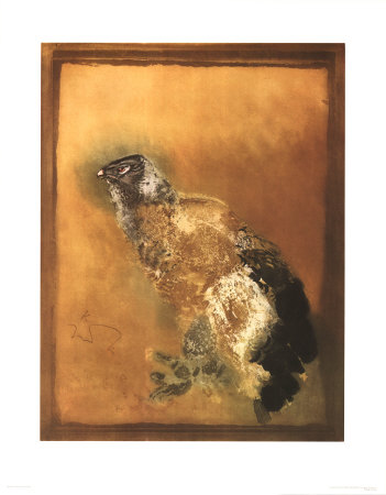 Eagle Print Eagle Print