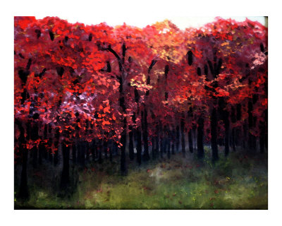 amber mist Giclee Print amber mist Giclee Print