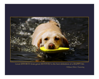 Happiness Defined Photographic Print Happiness Defined Photographic Print