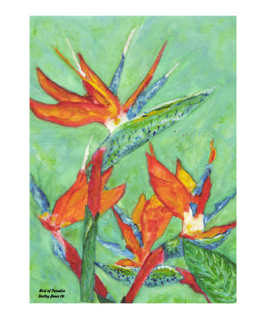 Bird of Paradise Giclee Print Bird of Paradise Giclee Print