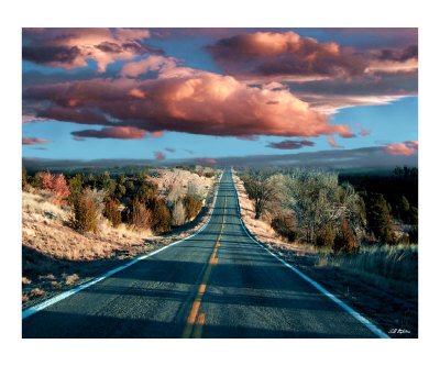 The Trip Giclee Print The Trip Giclee Print