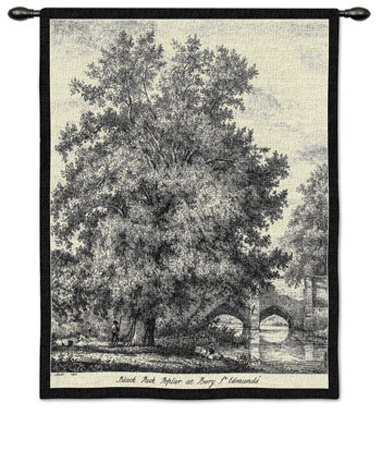 Black Poplar Wall Tapestry Black Poplar Wall Tapestry