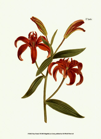 Fiery Florals I Print Fiery Florals I Print