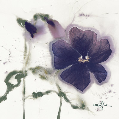 Pansies V Print Pansies V Print