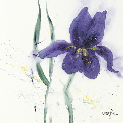 Iris II Print Iris II Print