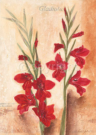 Graceful Gladioles Print Graceful Gladioles Print