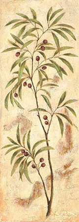 Olive Print Olive Print