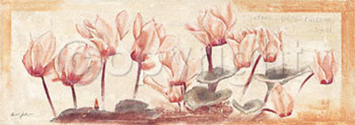 My Cyclamen in Bloom Print My Cyclamen in Bloom Print