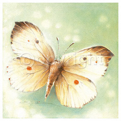 Anthocharis Print Anthocharis Print