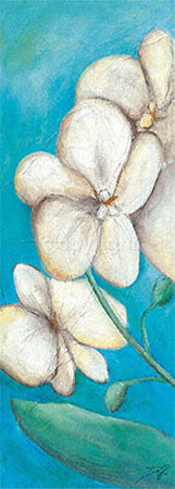 Scent of Orchids Print Scent of Orchids Print