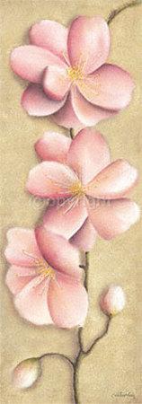 Spring Blossoms Print Spring Blossoms Print