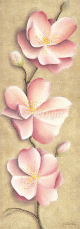 Apple Blossoms Print Apple Blossoms Print