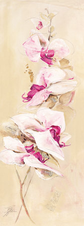 Elegance Print Elegance Print