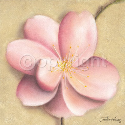 Apple Blossom IV Print Apple Blossom IV Print
