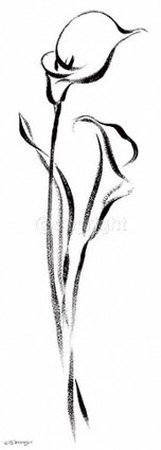 Perfumed Callas Print Perfumed Callas Print