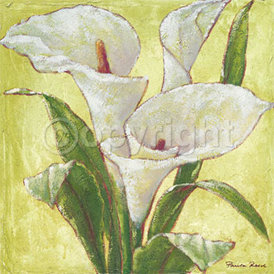 White Sensation Print White Sensation Print