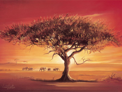 Namib Print Namib Print