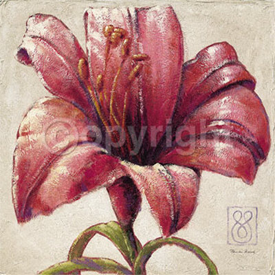 Red Lily Bloom Print Red Lily Bloom Print