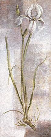Iris Print Iris Print