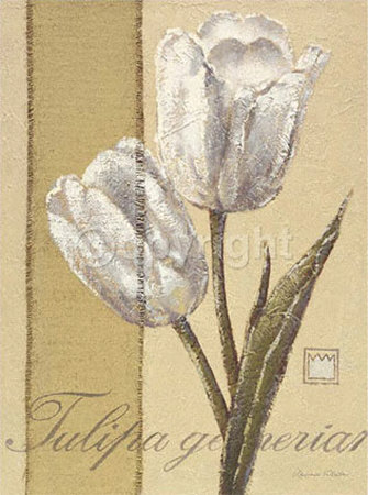 Tulipa Print Tulipa Print