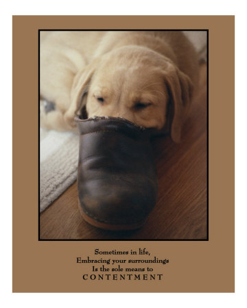 Contentment Photographic Print Contentment Photographic Print