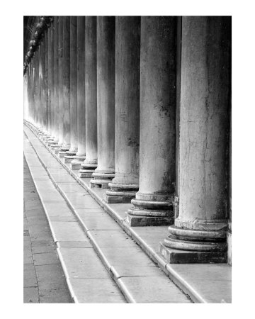 A Row of Columns Photographic Print A Row of Columns Photographic Print