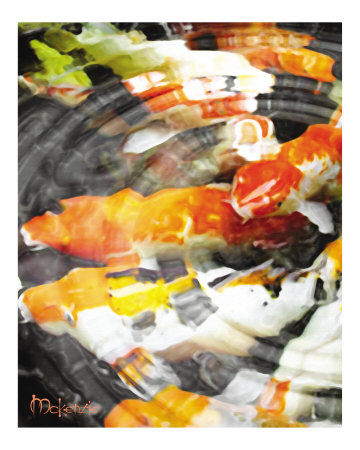 "Koi" Original in Series Giclee Print "Koi" Original in Series Giclee Print