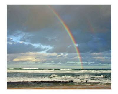 "North Shore Gold" Photographic Print "North Shore Gold" Photographic Print