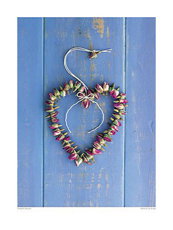 Boutons de Roses Print Boutons de Roses Print