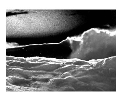 Black Fire Photographic Print Black Fire Photographic Print