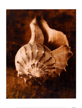Seaside Portrait III Print Seaside Portrait III Print