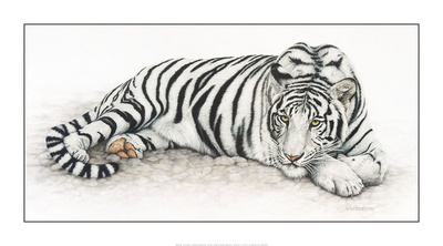 Siberian Tiger Print Siberian Tiger Print