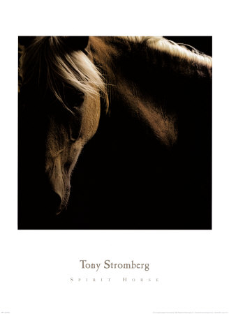 Spirit Horse Print Spirit Horse Print