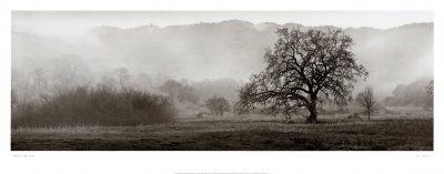 Meadow Oak Tree Print Meadow Oak Tree Print