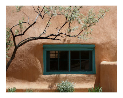 Adobe Colors Other Adobe Colors Other