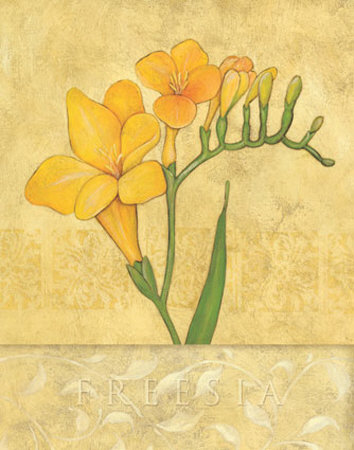 Freesia Print Freesia Print
