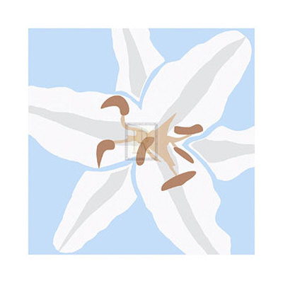 Lily Blue Print Lily Blue Print